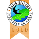 david bellamy