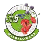wildflower